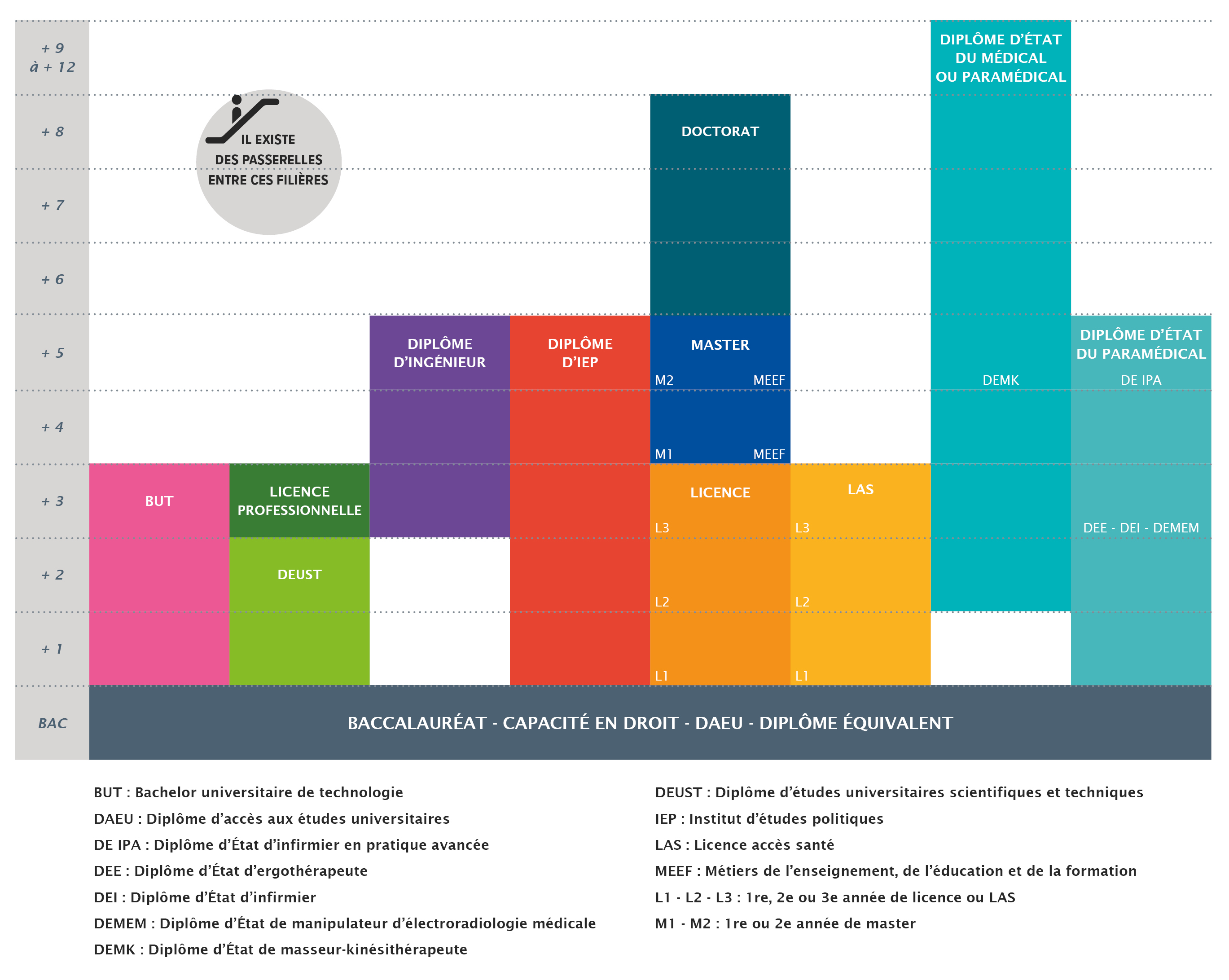 Schéma des études à l'UPEC